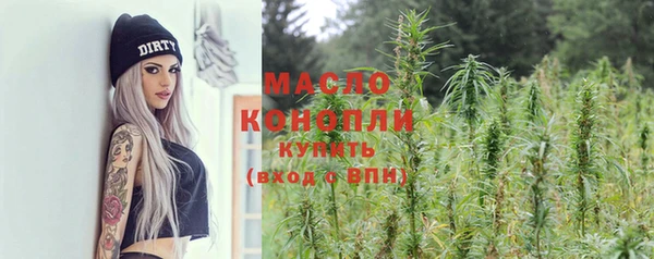 прущие грибы Магас